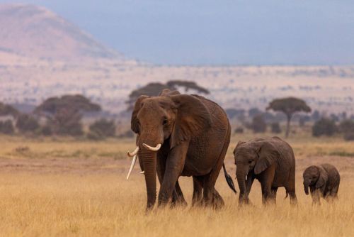 South African Overland Tours