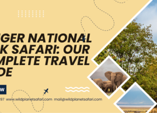Kruger National Park Safari: Our Complete Travel Guide