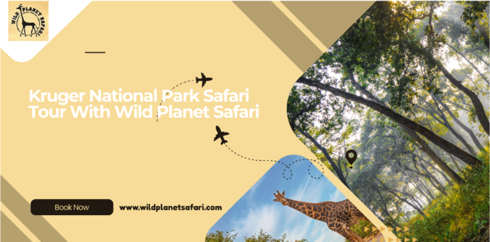 Kruger-National-Park-Safari-Tour-With-Wild-Planet-Safari.