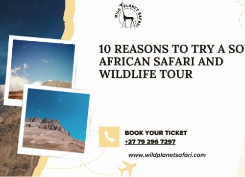 10 Reasons to Try a South African Safari and Wildlife Tour