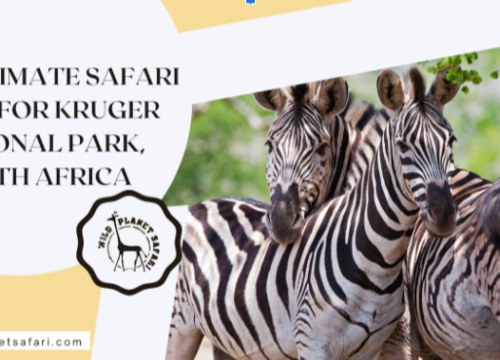 The Ultimate Safari Guide for Kruger National Park, South Africa
