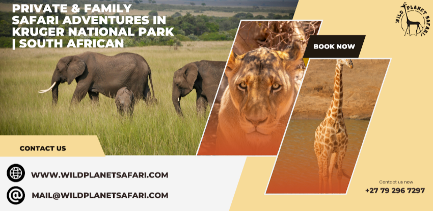 Private & Family Safari Adventures in Kruger National Park | South African Overland Tours & Popular Kruger Safari Packages
