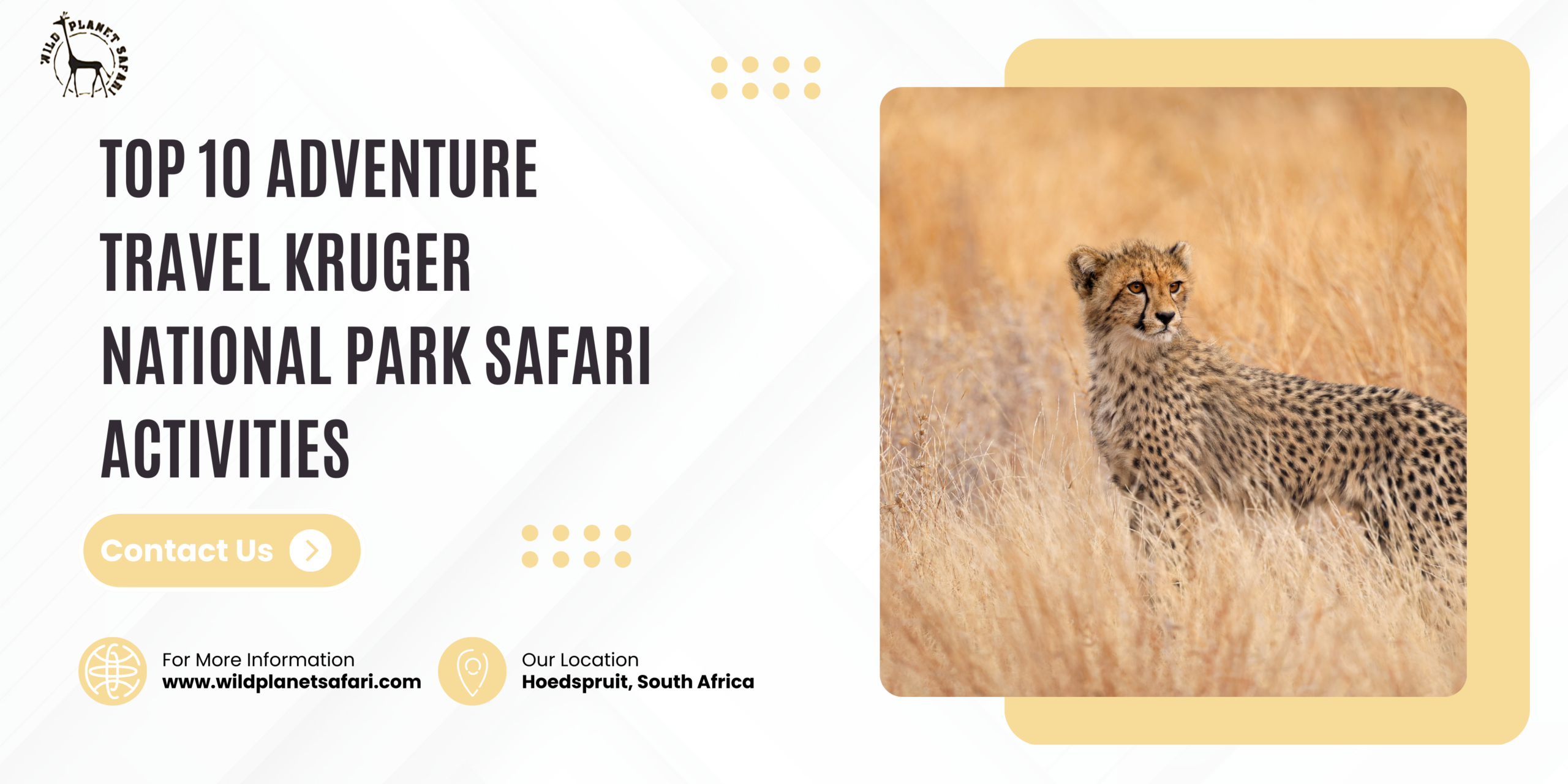 Top 10 Adventure Travel Kruger National Park Safari Activities