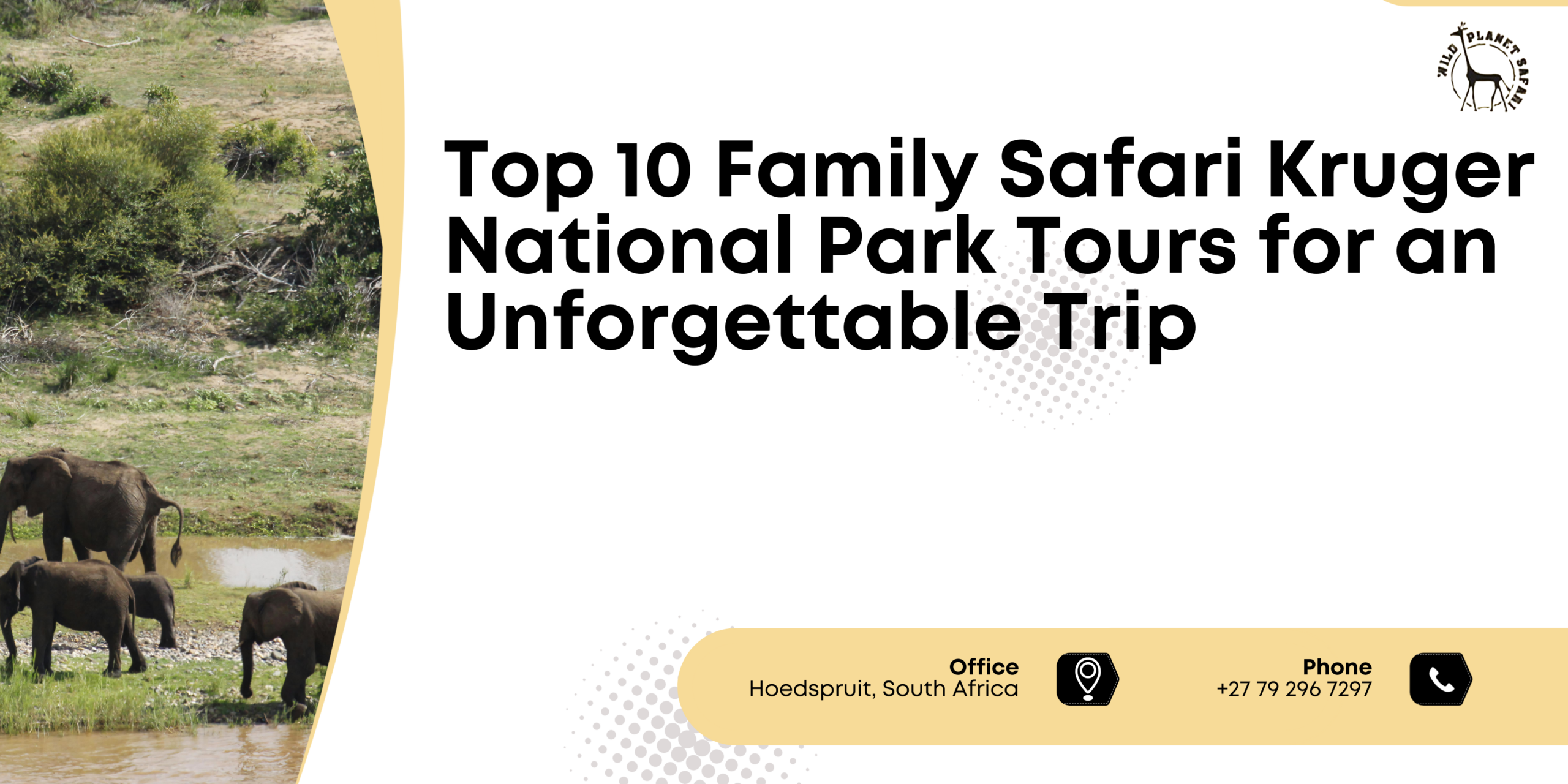 Top 10 Family Safari Kruger National Park Tours for an Unforgettable Tri