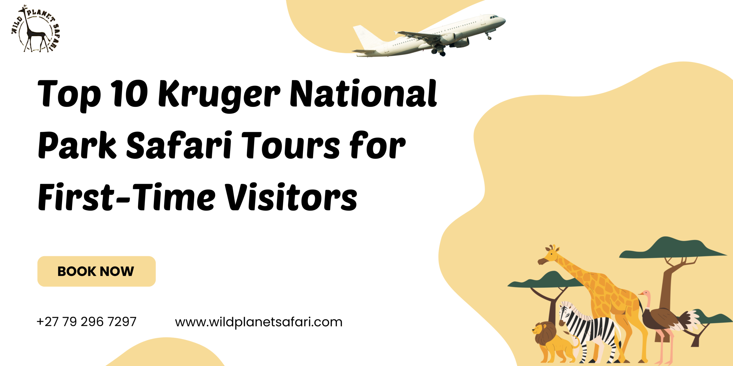 Top 10 Kruger National Park Safari Tours for First-Time Visitors
