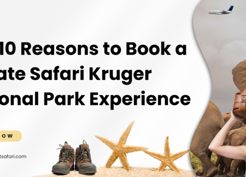 Top 10 Reasons to Book a Private Safari Kruger National Park Experience