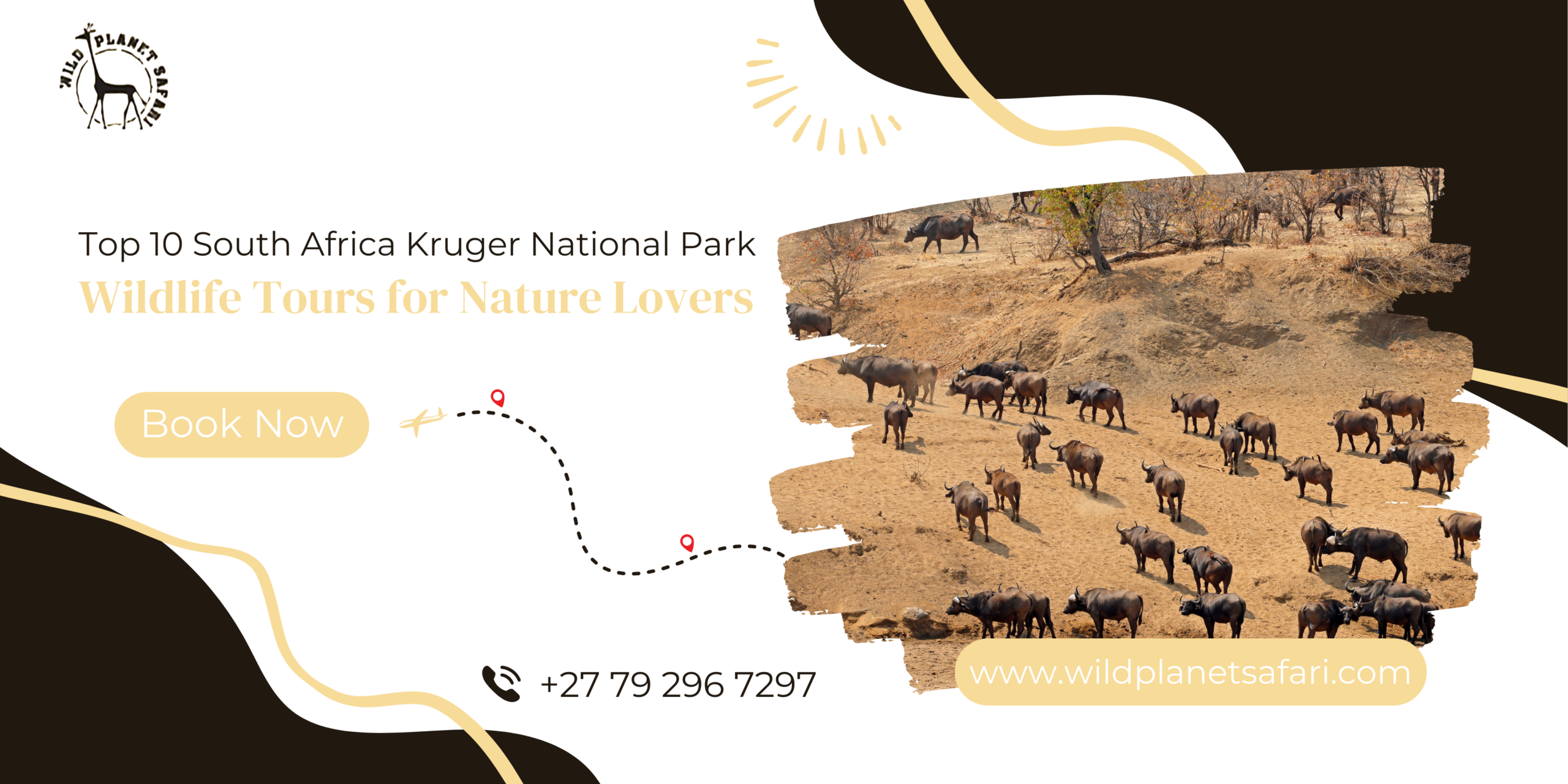 Top 10 South Africa Kruger National Park Wildlife Tours for Nature Lovers