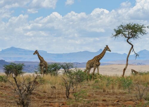 8 Best Places to Visit in South Africa: Our 2026 Bucket List