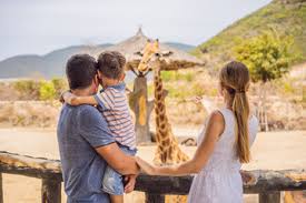 How to Plan a Family-Friendly Safari in Africa in 2026