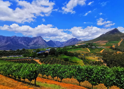 Safety Guide: How Safe Is South Africa for Tourists?